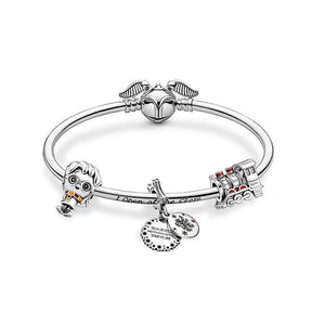 Bracelete e Pulseira Harry Potter - Prata 925